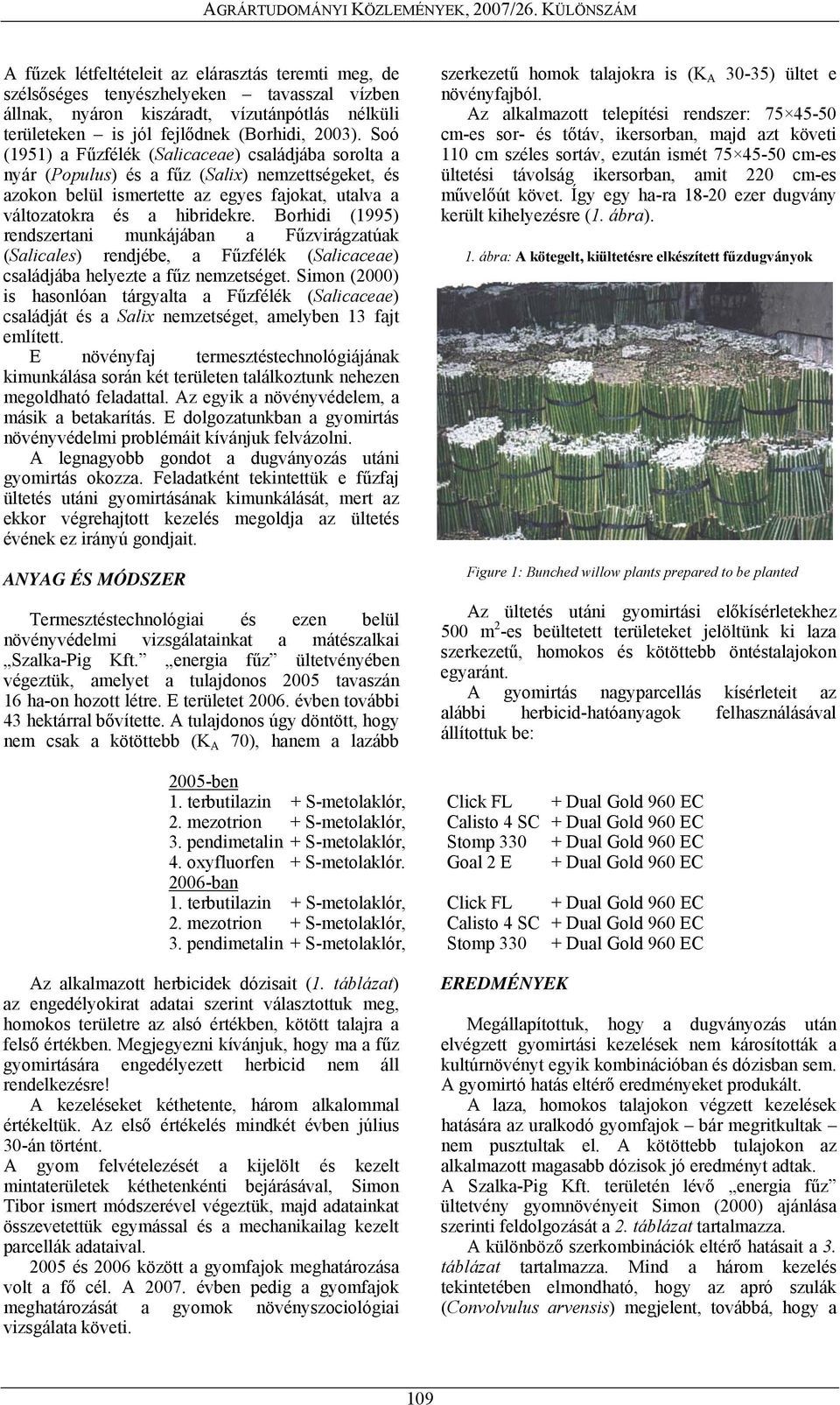 Borhidi (1995) rendszertani munkájában a Fűzvirágzatúak (Salicales) rendjébe, a Fűzfélék (Salicaceae) családjába helyezte a fűz nemzetséget.