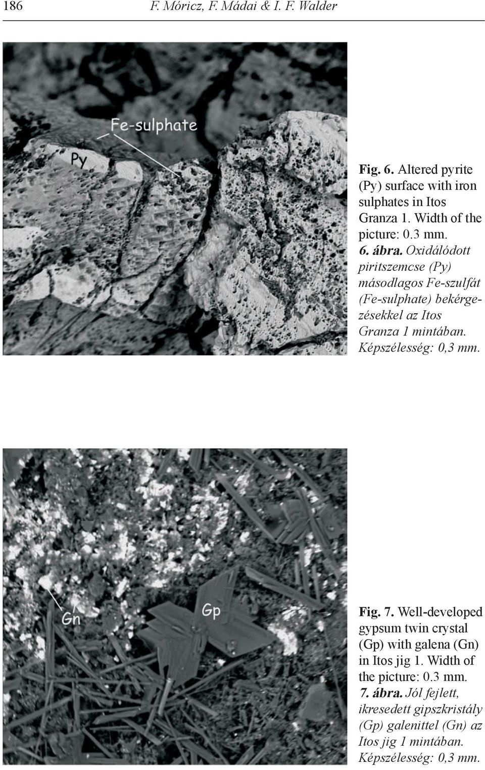 Oxidálódott piritszemcse (Py) másodlagos Fe-szulfát (Fe-sulphate) bekérgezésekkel az Itos Granza 1 mintában.