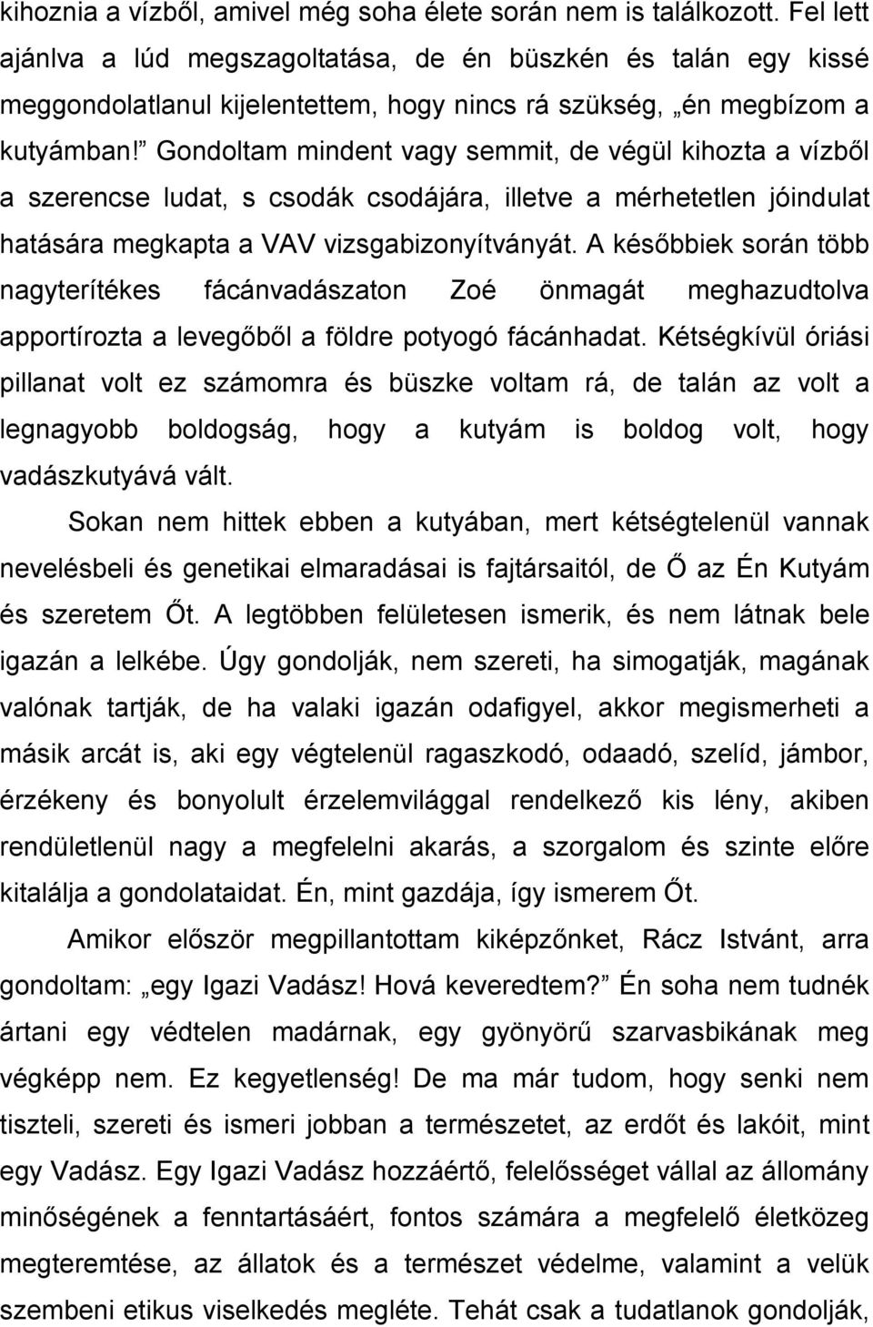 Gondoltam mindent vagy semmit, de végül kihozta a vízből a szerencse ludat, s csodák csodájára, illetve a mérhetetlen jóindulat hatására megkapta a VAV vizsgabizonyítványát.