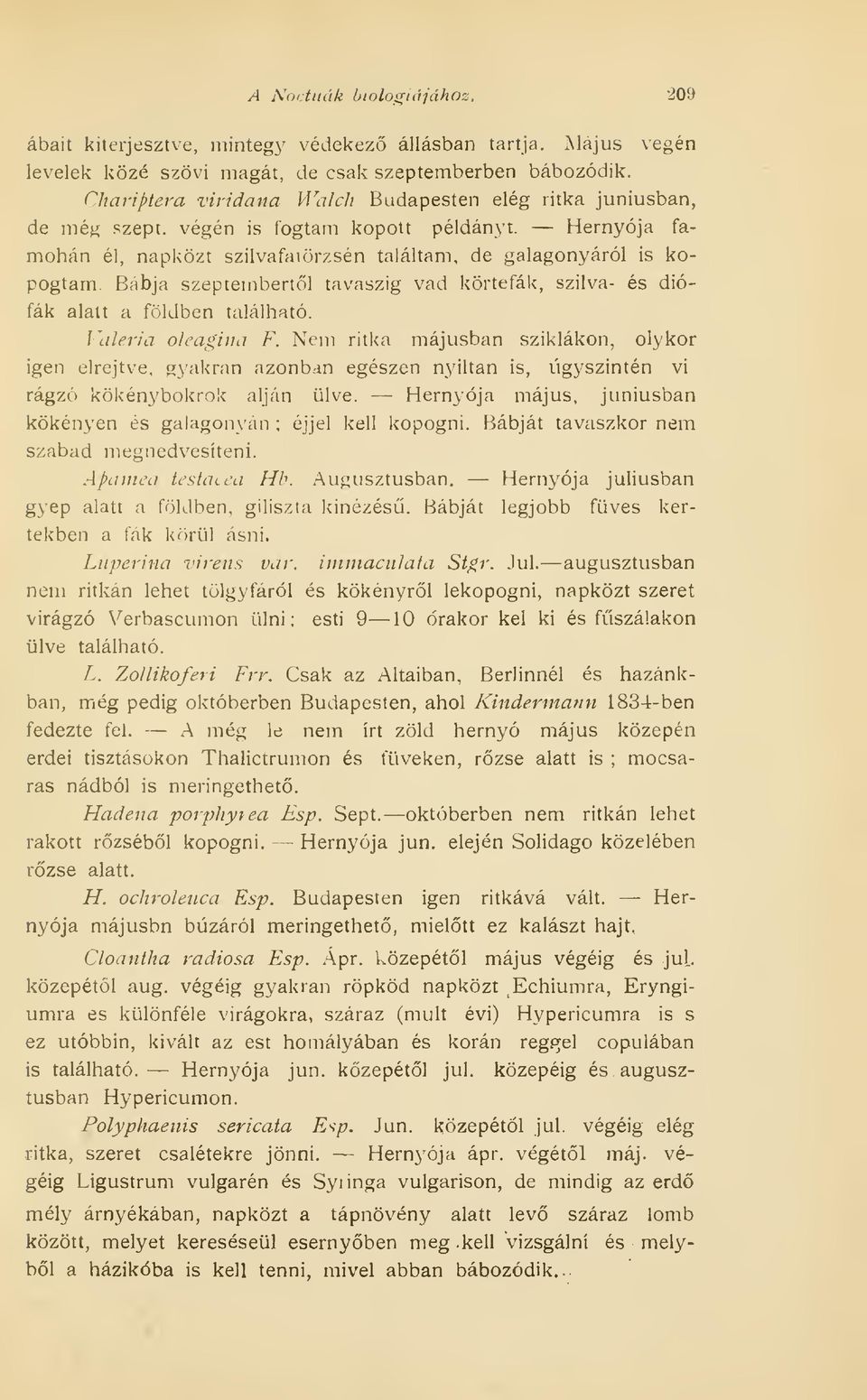 Bábja szeptembertl tavaszig vad körtefák, szilva- és diófák alalt a földben található. / \ileria oleagina F.