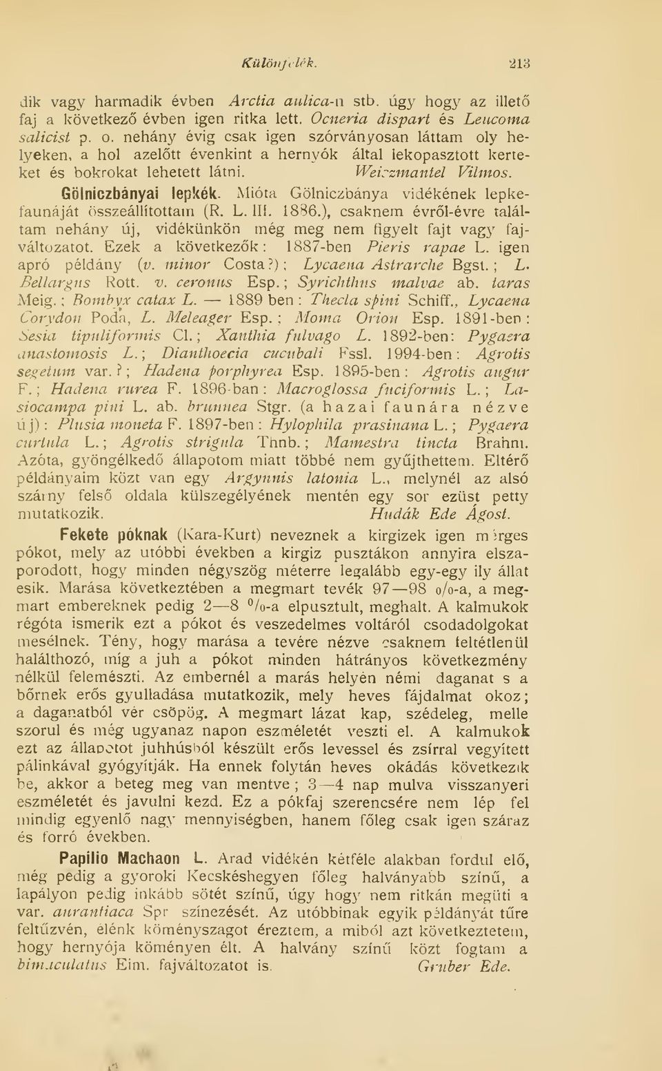 Mióta Gölniczbánya vidékének lepkefaunáját összeállítottam (R. L. III. 1886.), csaknem évrl-évre találtam néhány új, vidékünkön még meg nem figyelt fajt vagy fajváltozatot.