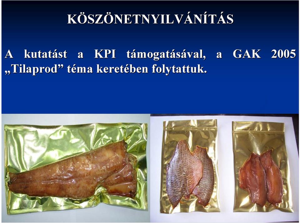 mogtásávl, GAK 2005