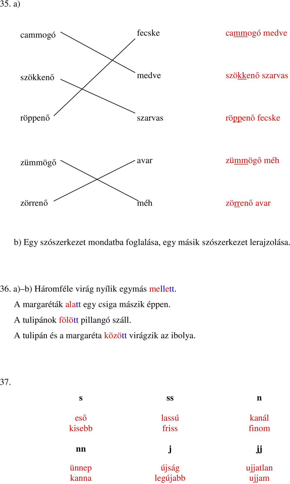 a) b) Háromféle virág nyílik egymás mellett. A margaréták alatt egy csiga mászik éppen. A tulipánok fölött pillangó száll.