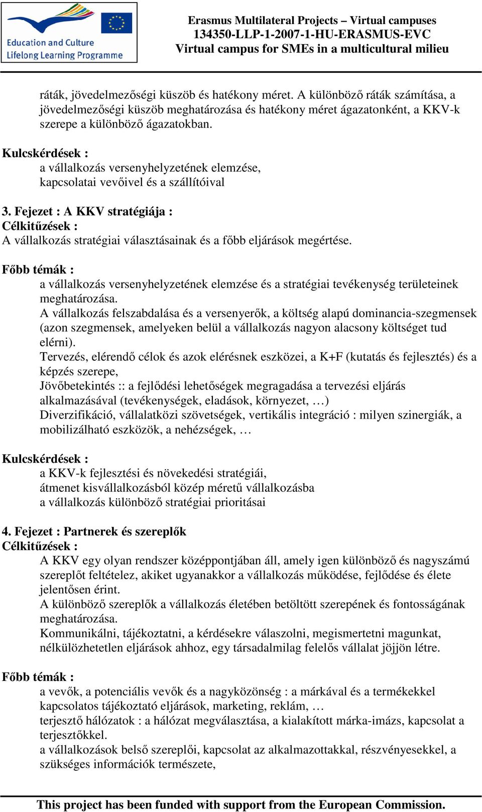 a vállalkozás versenyhelyzetének elemzése és a stratégiai tevékenység területeinek meghatározása.