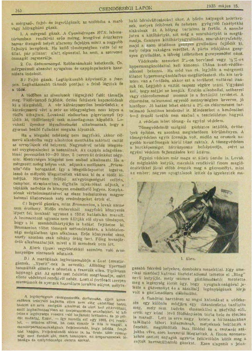 Lghásosbb ámdó ponji: n fss ég\1nk és 1935 május 15 CSENDőRSiG LAPo üdő A Ud6bcn z vou sok Oégsjck fá ámdj mg Tidó zcnyö fj5dik óriási ri k kpcso 6dok ki égzésb61 A vér kárány8%ciin bcsüriisődik: