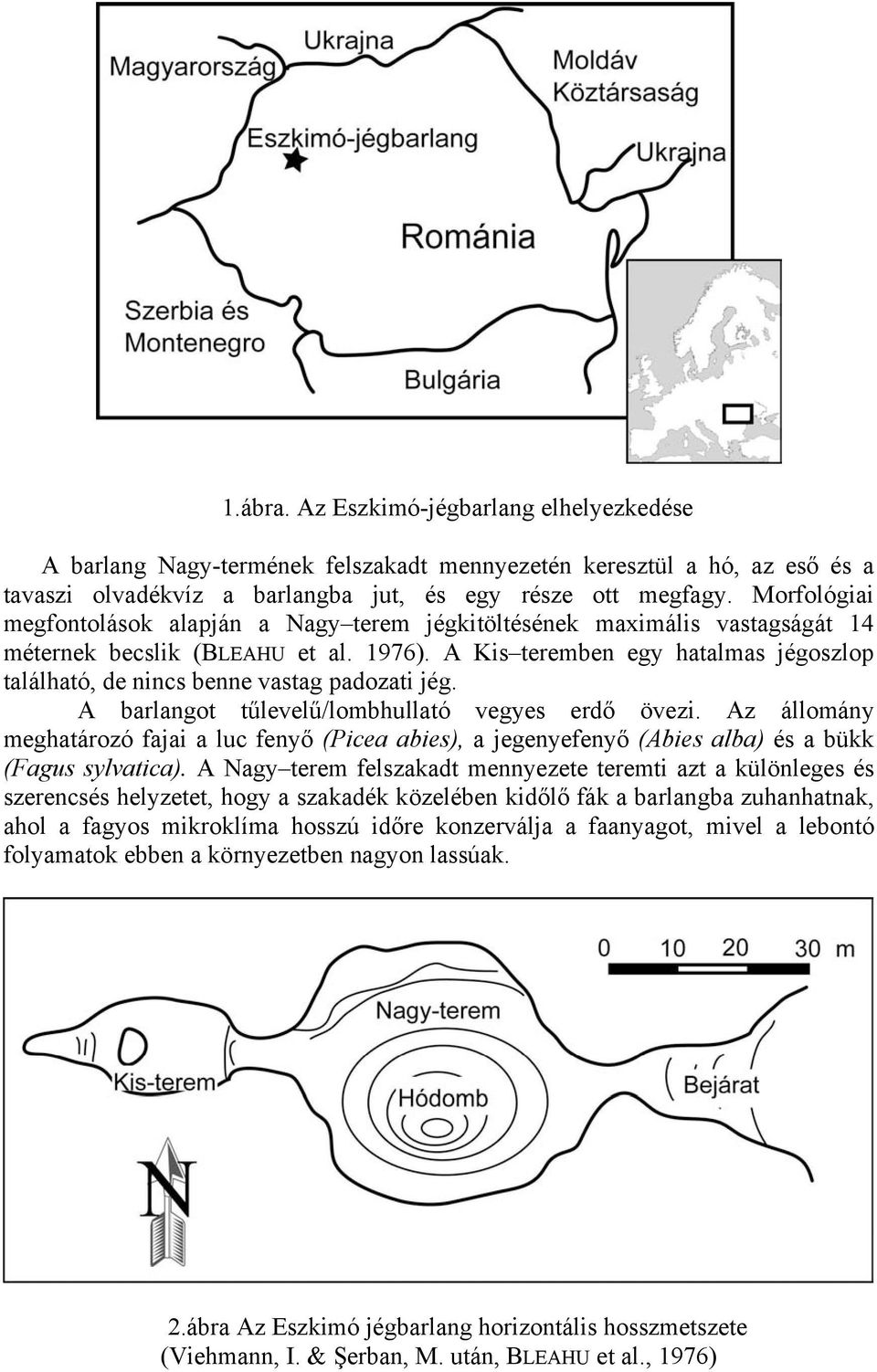 A Kis teremben egy hatalmas jégoszlop található, de nincs benne vastag padozati jég. A barlangot tűlevelű/lombhullató vegyes erdő övezi.