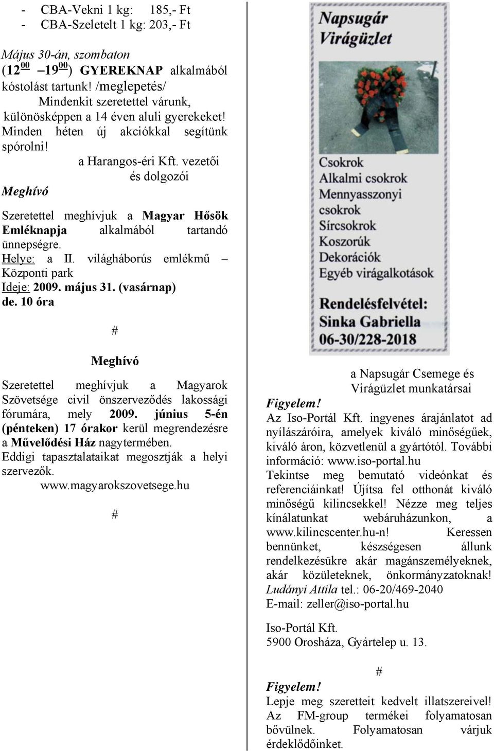 vezetői és dolgozói Meghívó Szeretettel meghívjuk a Magyar Hősök Emléknapja alkalmából tartandó ünnepségre. Helye: a II. világháborús emlékmű Központi park Ideje: 2009. május 31. (vasárnap) de.