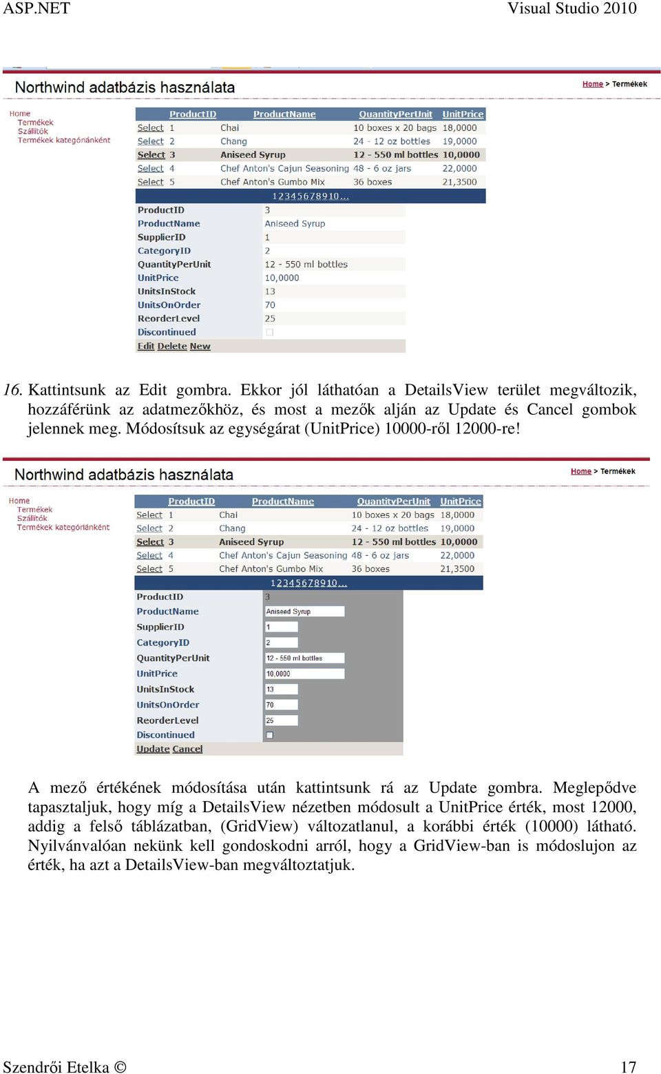 Módosítsuk az egységárat (UnitPrice) 10000-ről 12000-re! A mező értékének módosítása után kattintsunk rá az Update gombra.