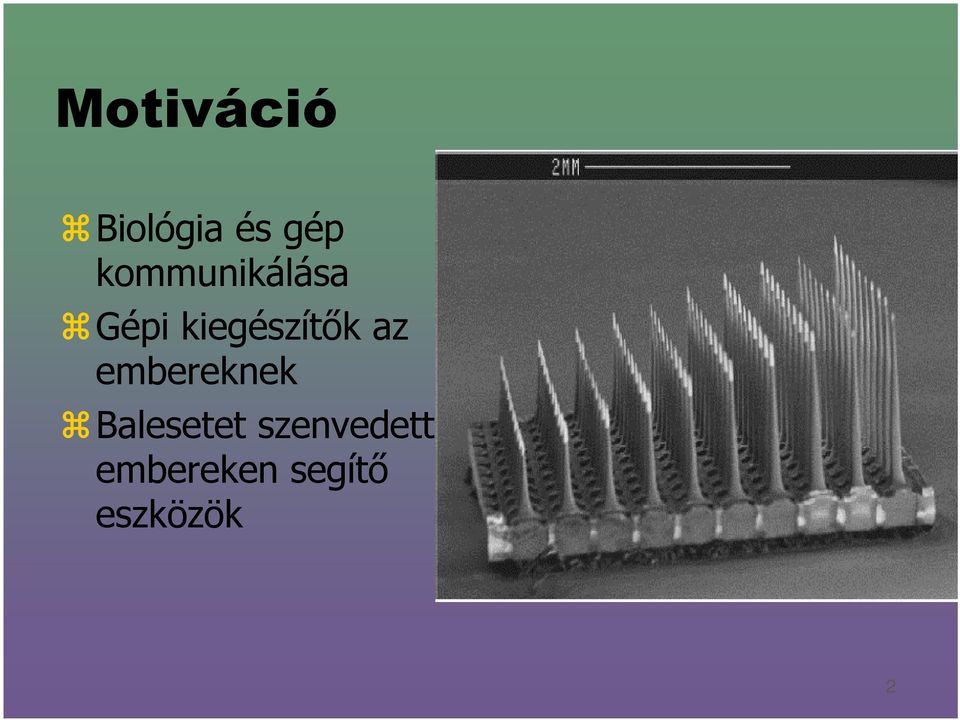 kiegészítők az embereknek