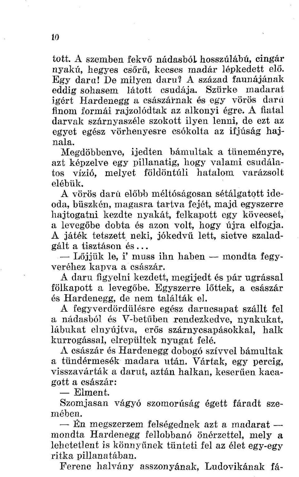 A fiatal darvak szárnyaszéle szokott ilyen lenni, de ezt az egyet egész vörhenyesre csókolta az ifjúság hajnala.