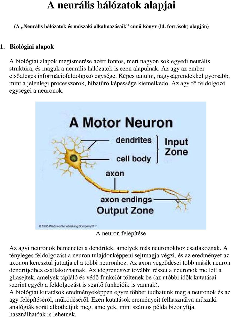 Képes tanuln, nagyságrendekkel gyorsabb, mnt a jelenleg processzorok, hbatr képessége kemelked. Az agy f feldolgozó egysége a neuronok.