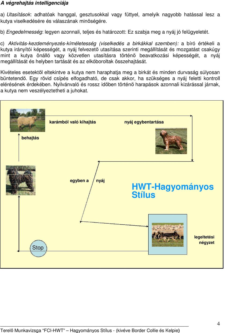 c) Aktivitás-kezdeményezés-kíméletesség (viselkedés a birkákkal szemben): a bíró értékeli a kutya irányítói képességét, a nyáj felvezető utasítása szerinti megállítását és mozgatást csakúgy mint a