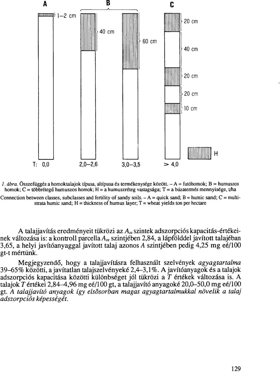 - A = quick sand; B = humic sand; C = multistrata humic sand; H = thickness of humus layer; T = wheat yields ton per hectare A talajjavítás eredményeit tükrözi az A sz szintek adszorpciós