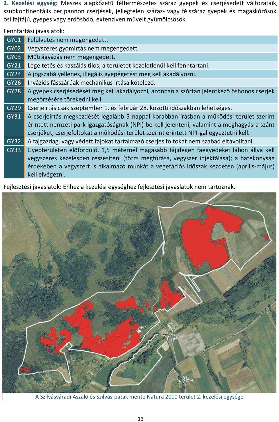 GY21 Legeltetés és kaszálás tilos, a területet kezeletlenül kell fenntartani. GY24 A jogszabályellenes, illegális gyepégetést meg kell akadályozni. GY26 Inváziós fásszárúak mechanikus irtása kötelező.