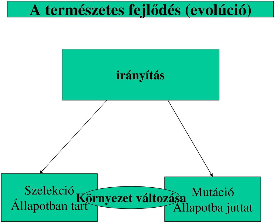 Szelekció Környezet