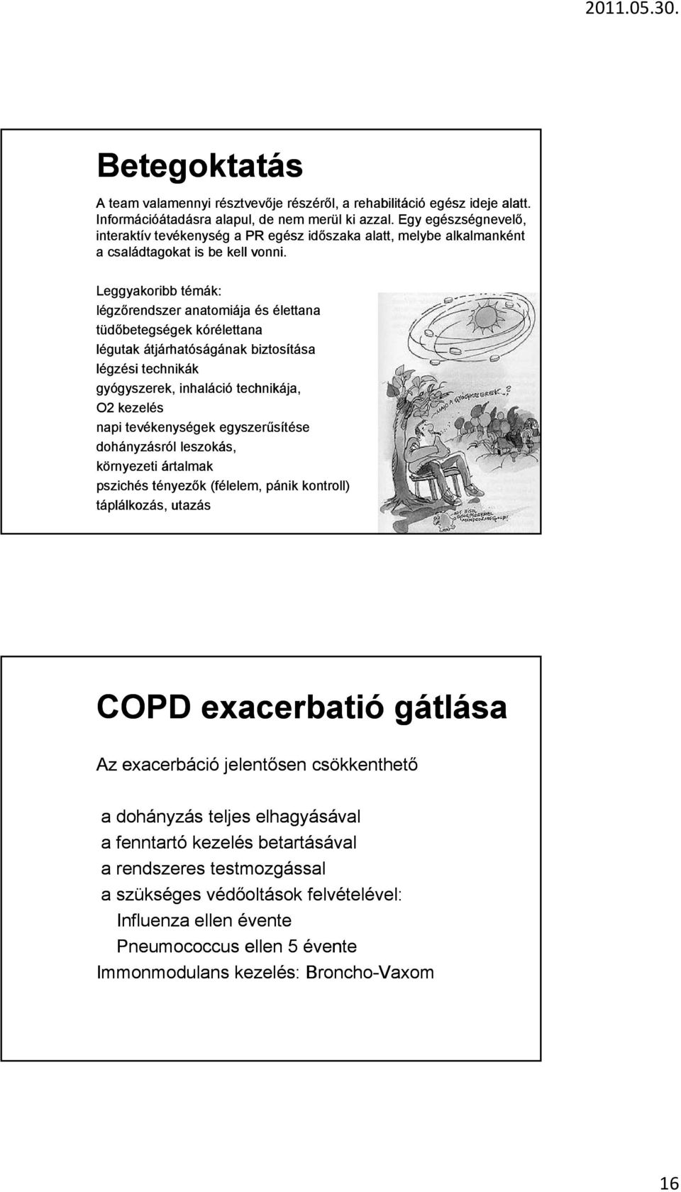 Leggyakoribb témák: légzőrendszer anatomiája és élettana tüdőbetegségek kórélettana légutak átjárhatóságának biztosítása légzési technikák gyógyszerek, inhaláció technikája, O2 kezelés napi