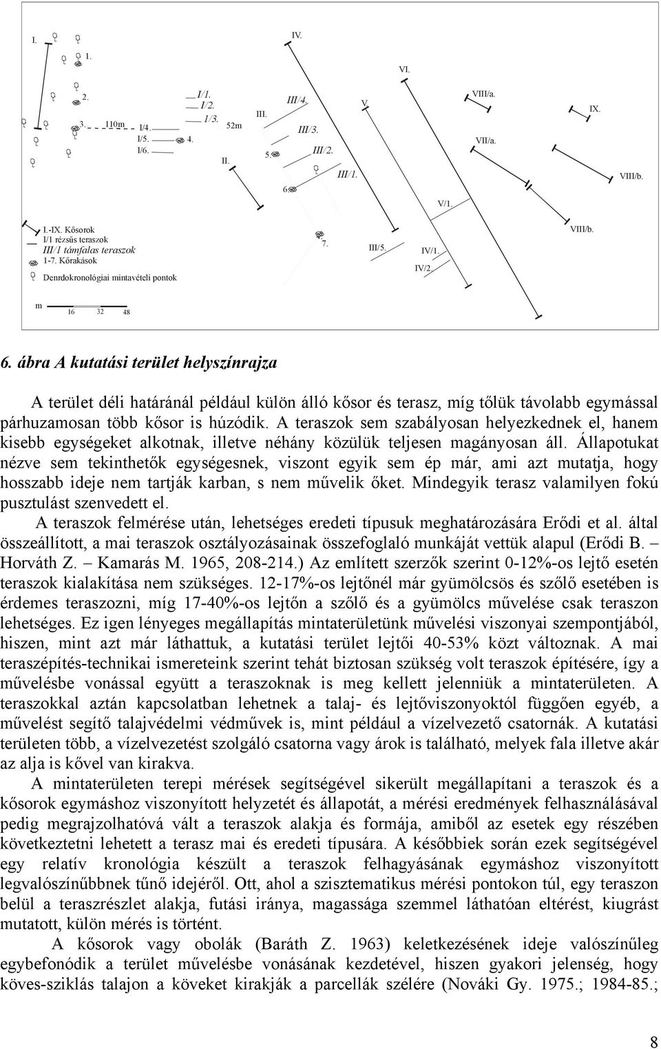 ábra A kutatási terület helyszínrajza A terület déli határánál például külön álló kősor és terasz, míg tőlük távolabb egymással párhuzamosan több kősor is húzódik.