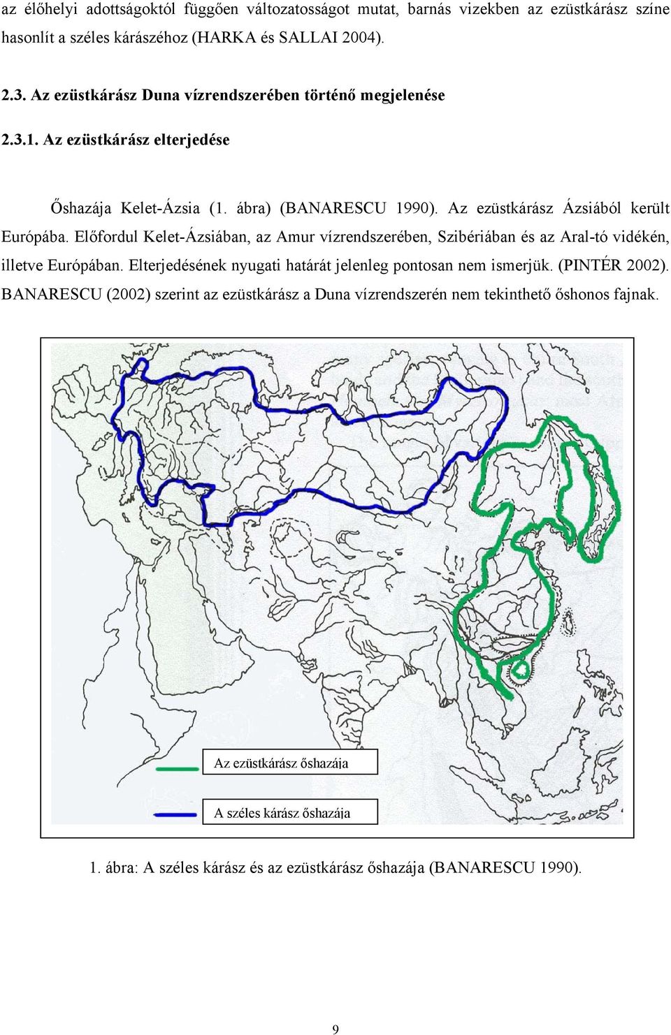 Előfordul Kelet-Ázsiában, az Amur vízrendszerében, Szibériában és az Aral-tó vidékén, illetve Európában. Elterjedésének nyugati határát jelenleg pontosan nem ismerjük. (PINTÉR 2002).