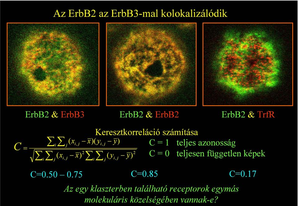 50 0.75 i j j i j i, j eresztkorreláció számítása C=0.