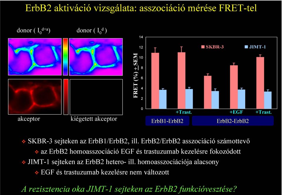 ErbB2/ErbB2 asszociáció számottevő az ErbB2 homoasszociáció EGF és trastuzumab kezelésre fokozódott JIMT-1 sejteken az ErbB2