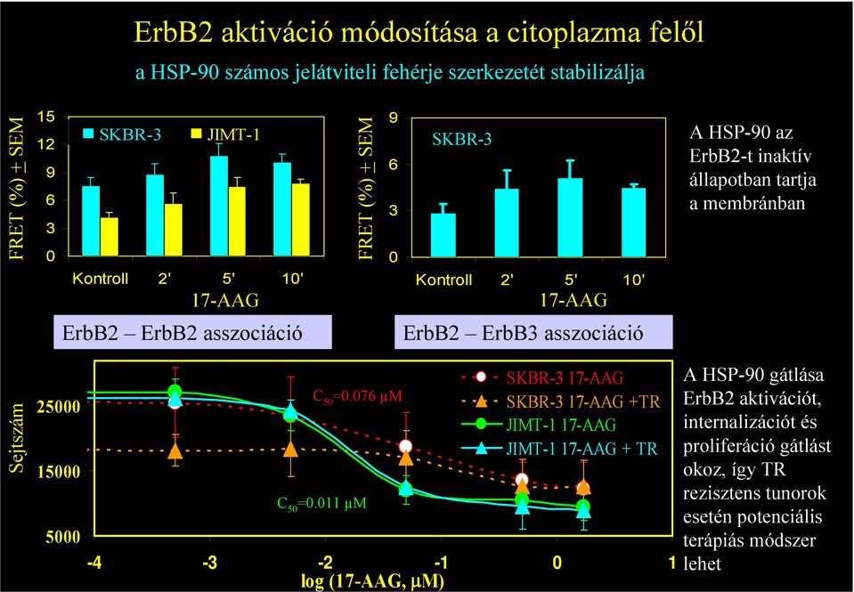 ErbB2 ErbB3 asszociáció Sejtszám 25000 15000 5000 C 50 =0.076 µm C 50 =0.