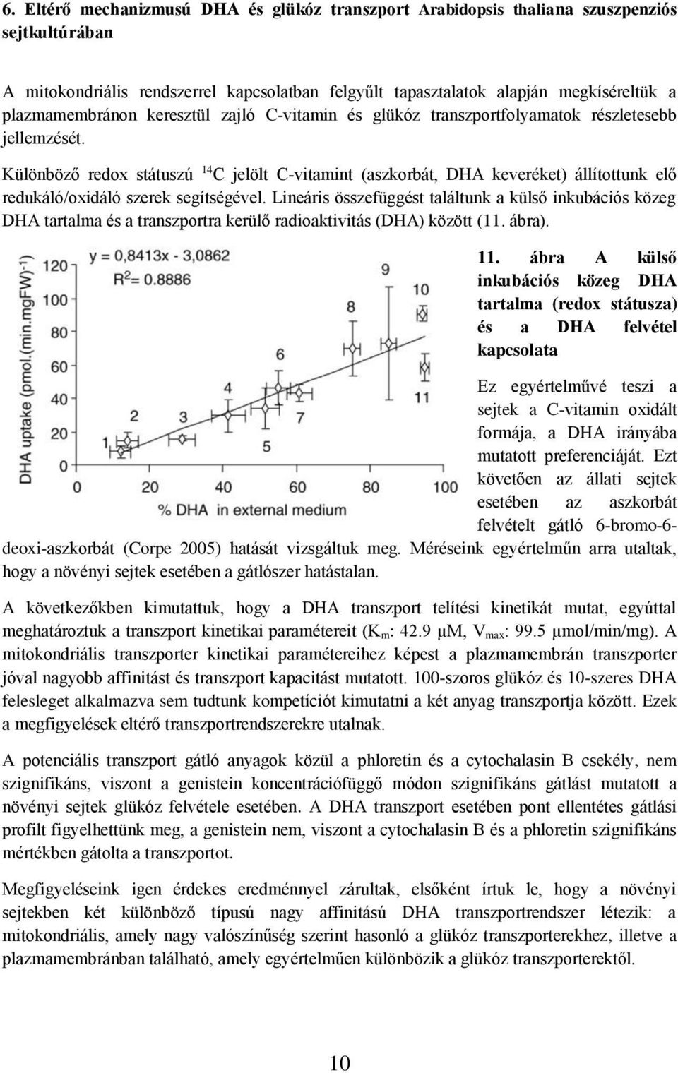 Különböző redox státuszú 14 C jelölt C-vitamint (aszkorbát, DHA keveréket) állítottunk elő redukáló/oxidáló szerek segítségével.