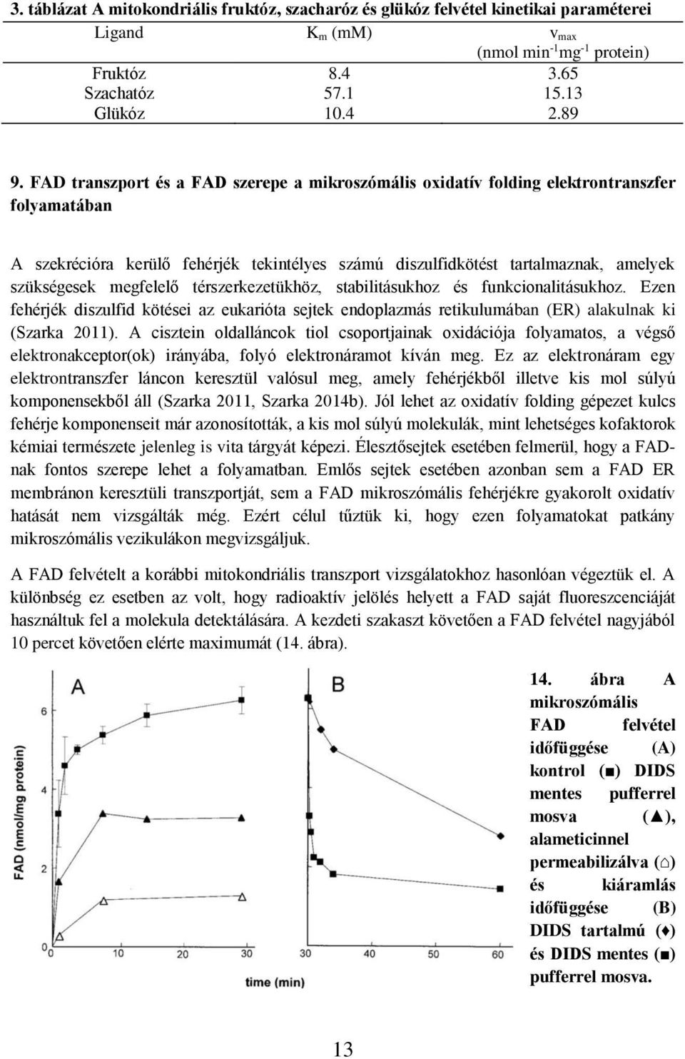 megfelelő térszerkezetükhöz, stabilitásukhoz és funkcionalitásukhoz. Ezen fehérjék diszulfid kötései az eukarióta sejtek endoplazmás retikulumában (ER) alakulnak ki (Szarka 2011).