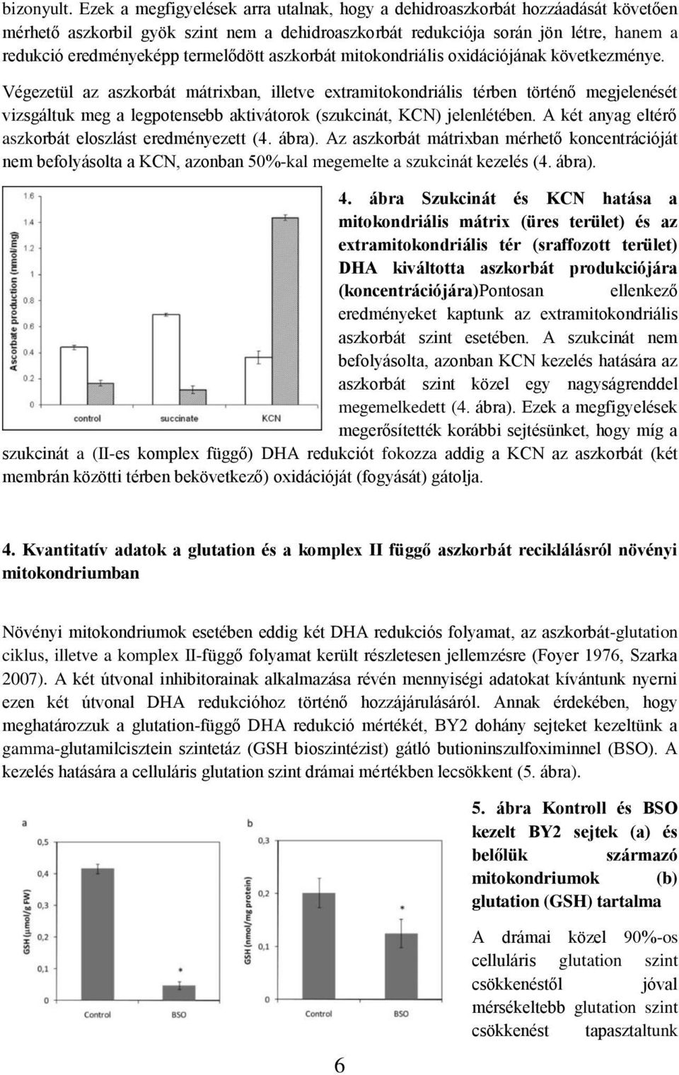 termelődött aszkorbát mitokondriális oxidációjának következménye.