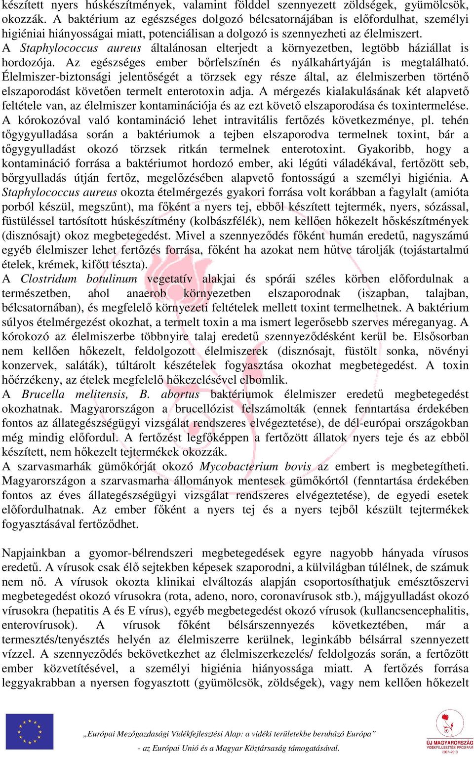 A Staphylococcus aureus általánosan elterjedt a környezetben, legtöbb háziállat is hordozója. Az egészséges ember bőrfelszínén és nyálkahártyáján is megtalálható.