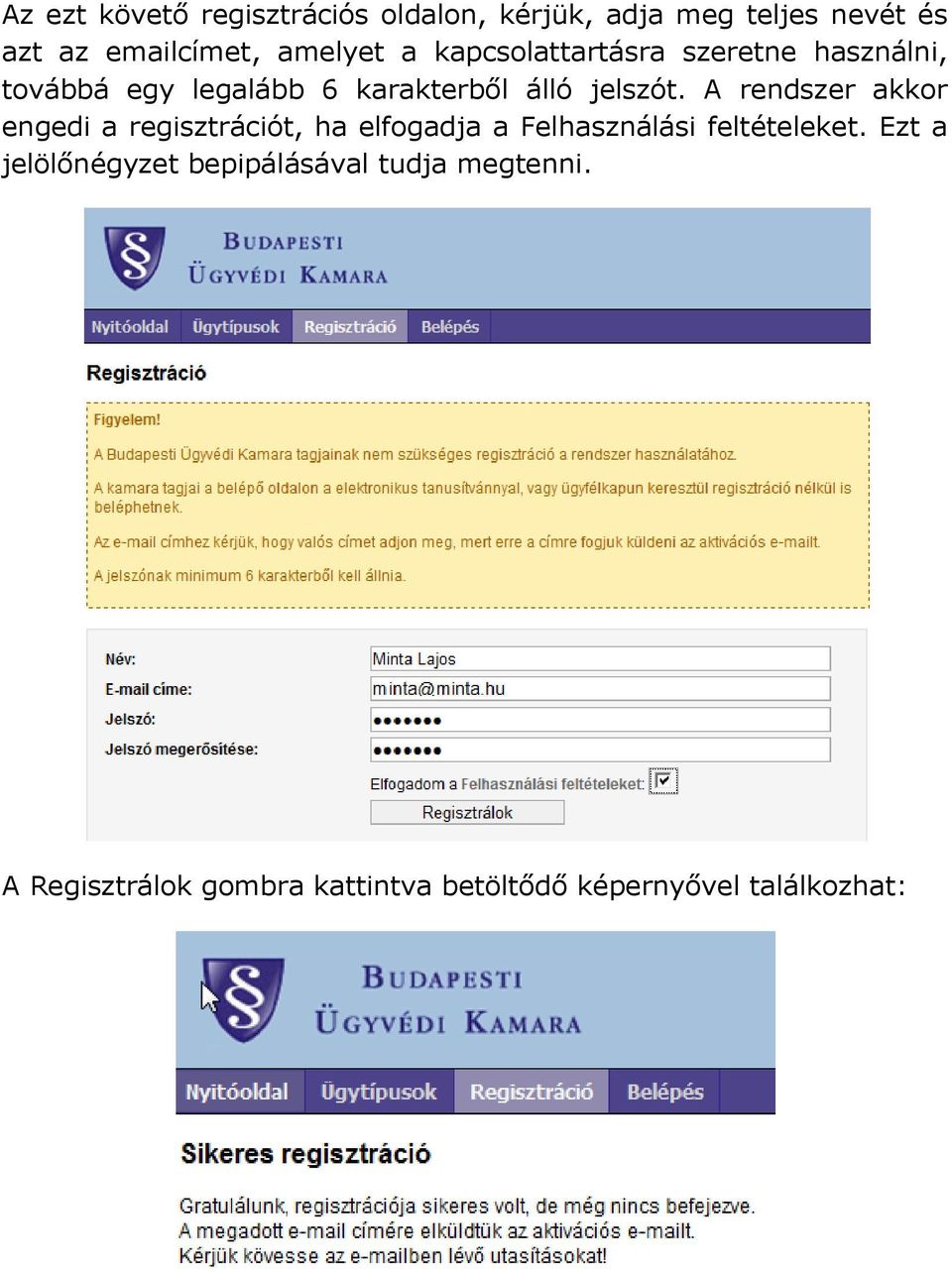 A rendszer akkor engedi a regisztrációt, ha elfogadja a Felhasználási feltételeket.