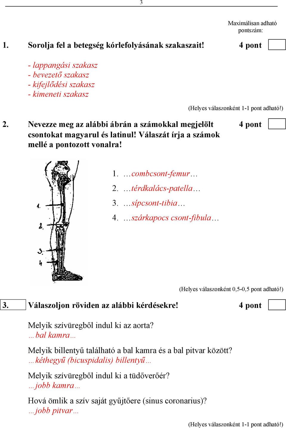 sípcsont-tibia 4. szárkapocs csont-fibula (Helyes válaszonként 0,5-0,5 pont adható!) 3. Válaszoljon röviden az alábbi kérdésekre! 4 pont Melyik szívüregből indul ki az aorta?