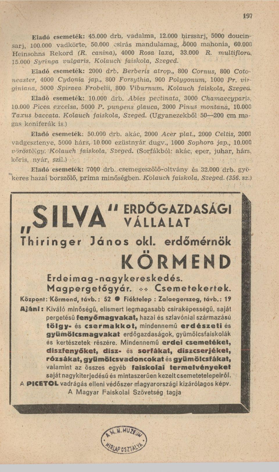 , 800 Forsythia, 900 Polygonum, 1000 Pr. virginiana, 5000 Spiraea Frobelii, 800 Viburnum. Kolauch faiskola, Szegea Eladó csemeték: 10.000 drb. Abies pectinata, 3000 Chamaecyparit, 10.