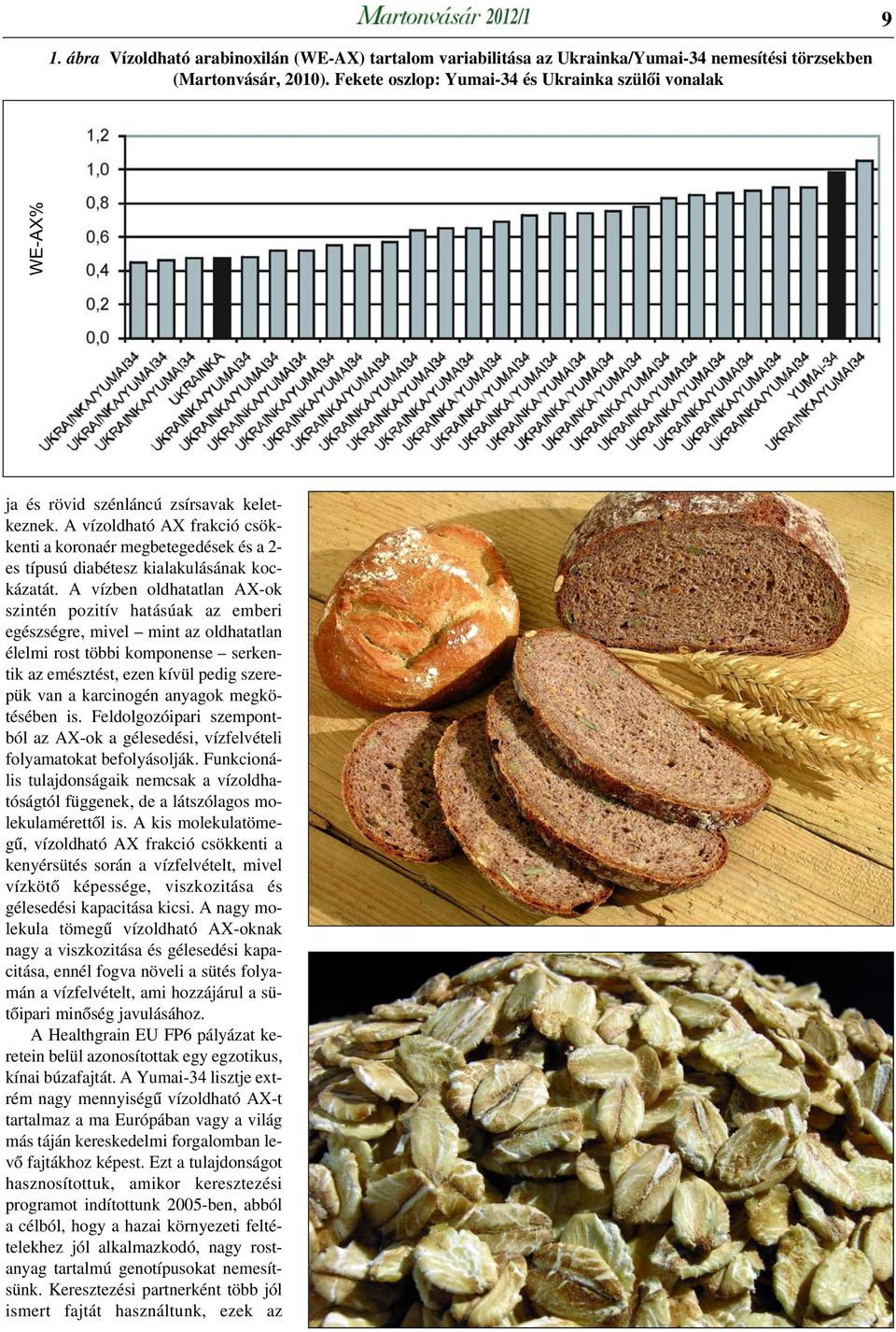 A vízoldható AX frakció csökkenti a koronaér megbetegedések és a 2- es típusú diabétesz kialakulásának kockázatát.