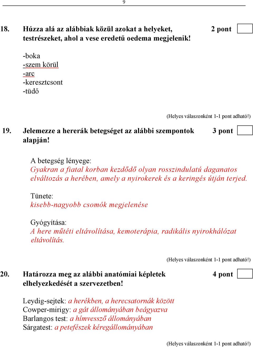 A betegség lényege: Gyakran a fiatal korban kezdıdı olyan rosszindulatú daganatos elváltozás a herében, amely a nyirokerek és a keringés útján terjed.