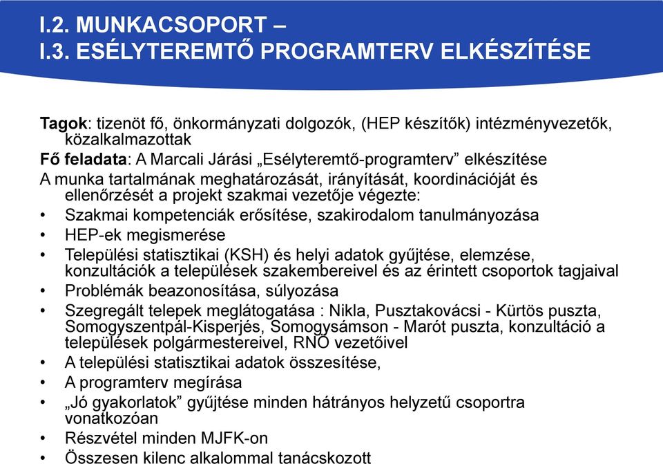 munka tartalmának meghatározását, irányítását, koordinációját és ellenőrzését a projekt szakmai vezetője végezte: Szakmai kompetenciák erősítése, szakirodalom tanulmányozása HEP-ek megismerése