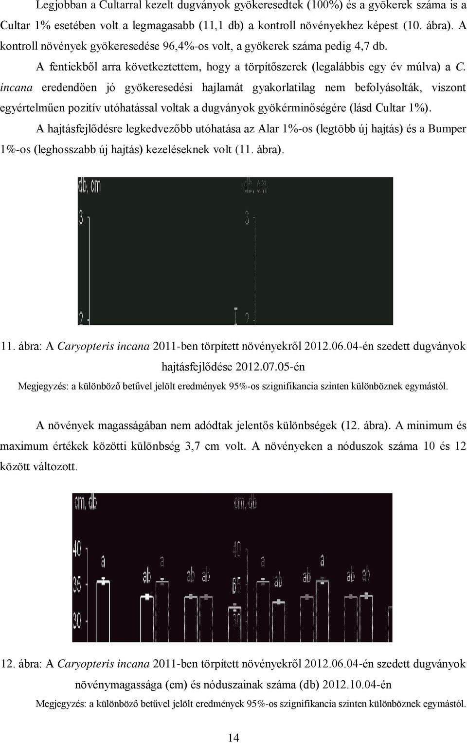 incana eredendően jó gyökeresedési hajlamát gyakorlatilag nem befolyásolták, viszont egyértelműen pozitív utóhatással voltak a dugványok gyökérminőségére (lásd Cultar 1%).