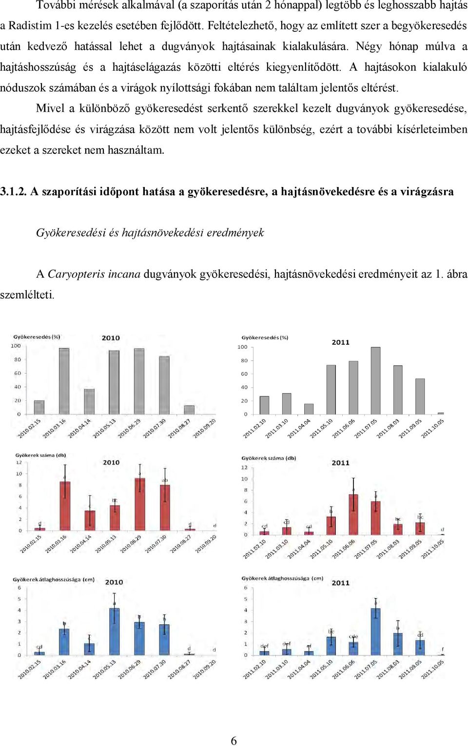 Négy hónap múlva a hajtáshosszúság és a hajtáselágazás közötti eltérés kiegyenlítődött. A hajtásokon kialakuló nóduszok számában és a virágok nyílottsági fokában nem találtam jelentős eltérést.