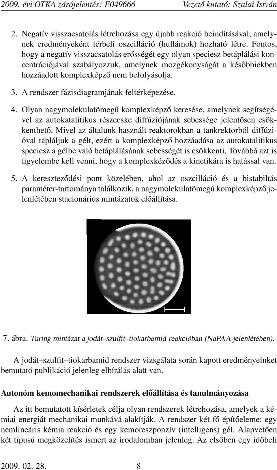 A rendszer fázisdiagramjának feltérképezése. 4. Olyan nagymolekulatömegű komplexképző keresése, amelynek segítségével az autokatalitikus részecske diffúziójának sebessége jelentősen csökkenthető.