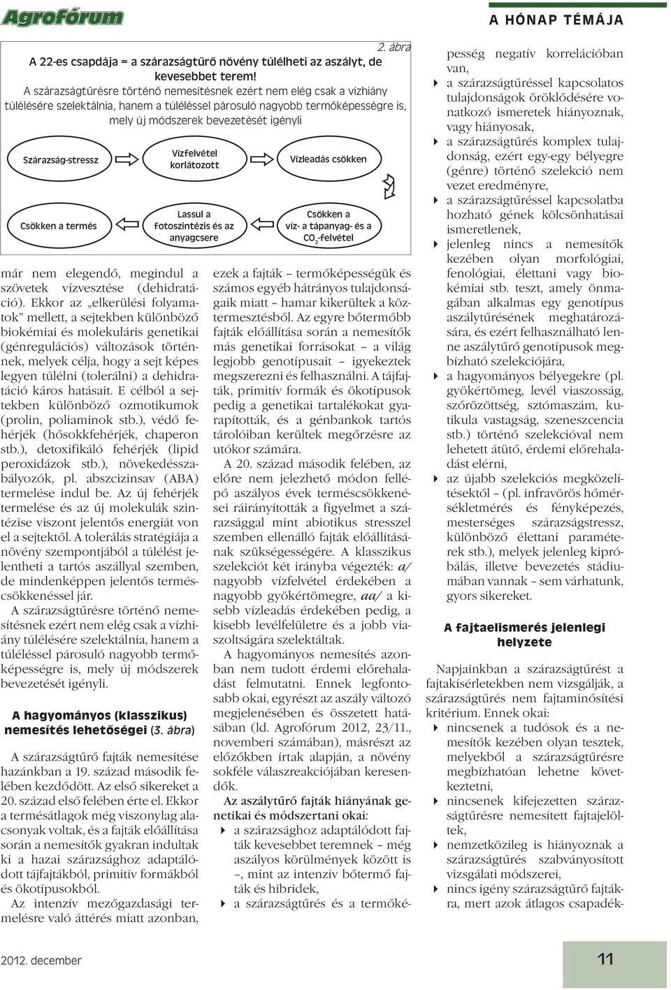 Szárazság-stressz Csökken a termés már nem elegendő, megindul a szövetek vízvesztése (dehidratáció).