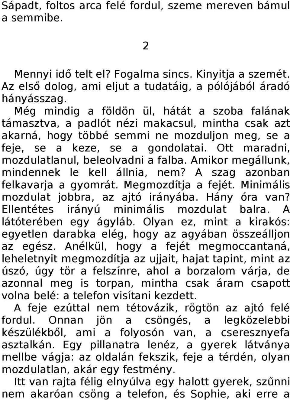 Ott maradni, mozdulatlanul, beleolvadni a falba. Amikor megállunk, mindennek le kell állnia, nem? A szag azonban felkavarja a gyomrát. Megmozdítja a fejét. Minimális mozdulat jobbra, az ajtó irányába.