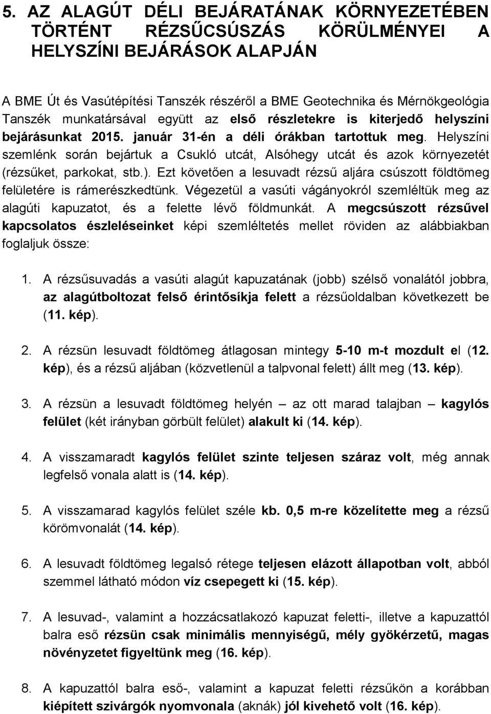 Helyszíni szemlénk során bejártuk a Csukló utcát, Alsóhegy utcát és azok környezetét (rézsűket, parkokat, stb.). Ezt követően a lesuvadt rézsű aljára csúszott földtömeg felületére is rámerészkedtünk.