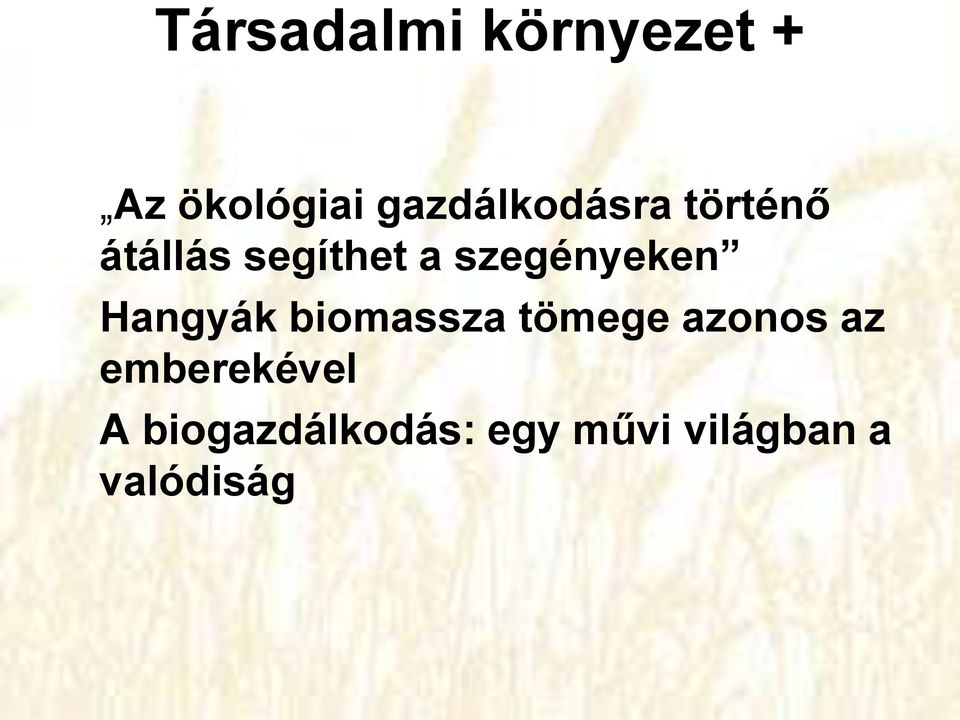 szegényeken Hangyák biomassza tömege azonos