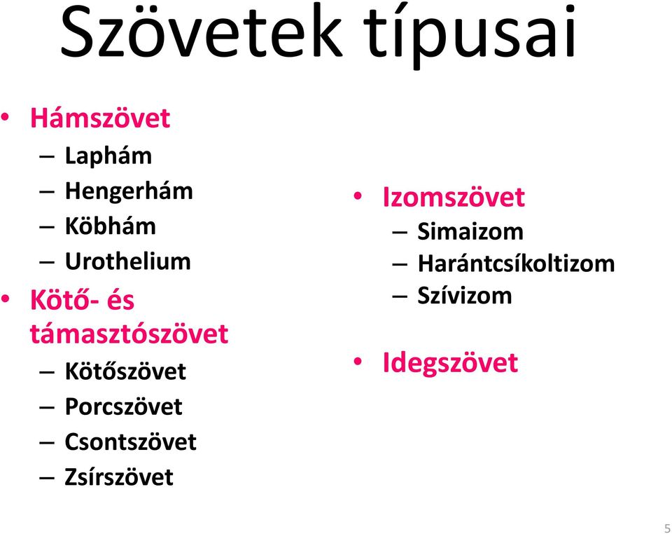 Kötőszövet Porcszövet Csontszövet Zsírszövet