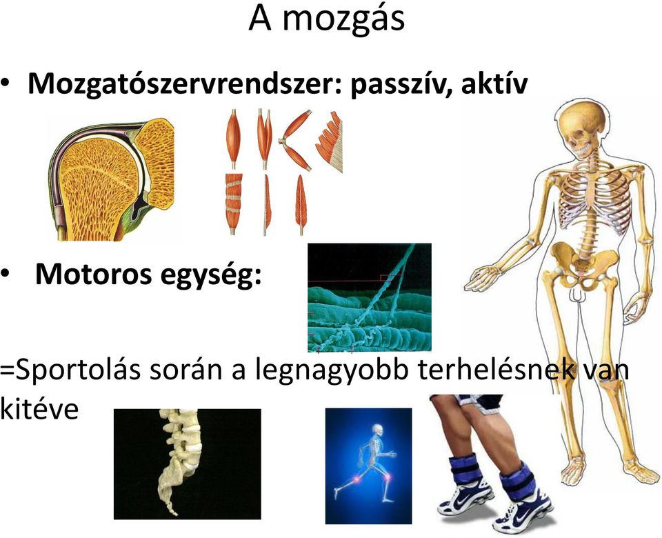 passzív, aktív Motoros