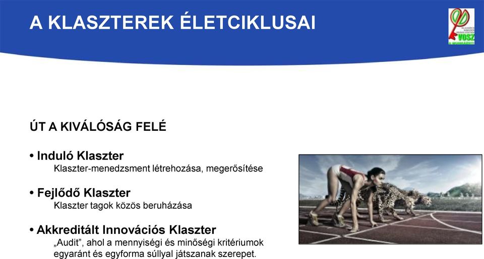 Klaszter tagok közös beruházása Akkreditált Innovációs Klaszter Audit,