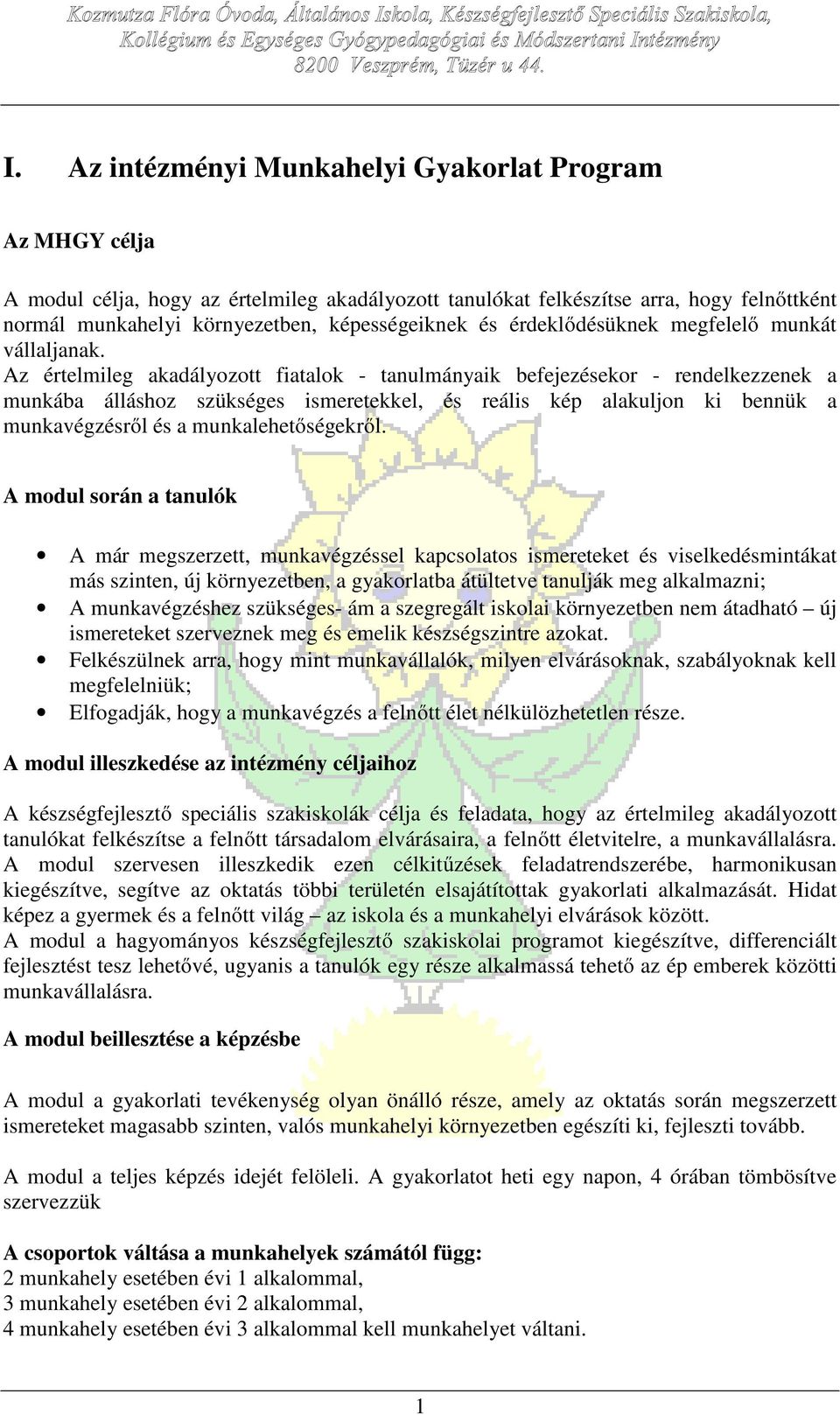 Az értelmileg akadályozott fiatalok - tanulmányaik befejezésekor - rendelkezzenek a munkába álláshoz szükséges ismeretekkel, és reális kép alakuljon ki bennük a munkavégzésről és a