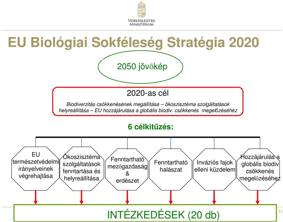 csökkenés megelızéséhez 6 célkitőzés: EU természetvédelmi irányelveinek végrehajtása Ökoszisztéma szolgáltatások