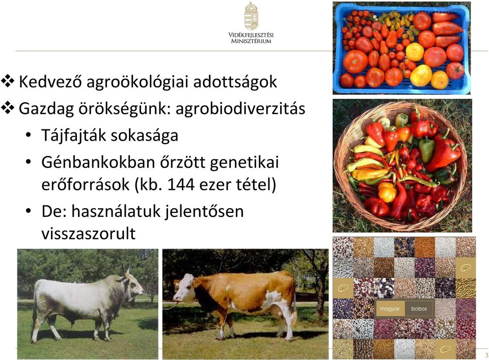 Génbankokban őrzött genetikai erőforrások (kb.