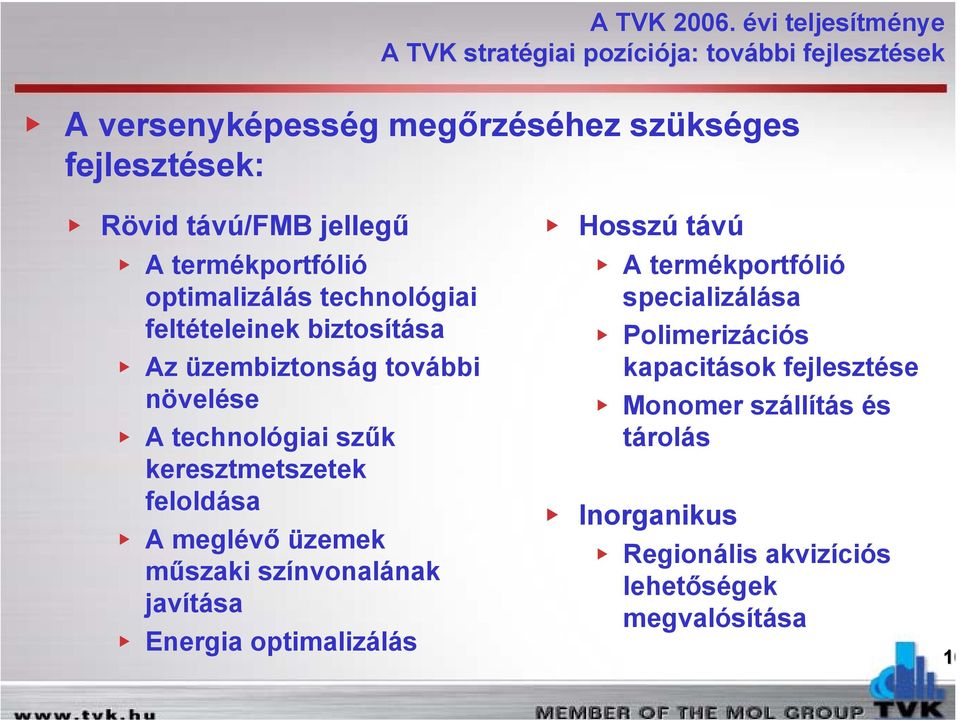 keresztmetszetek feloldása A meglévő üzemek műszaki színvonalának javítása Energia optimalizálás Hosszú távú A termékportfólió