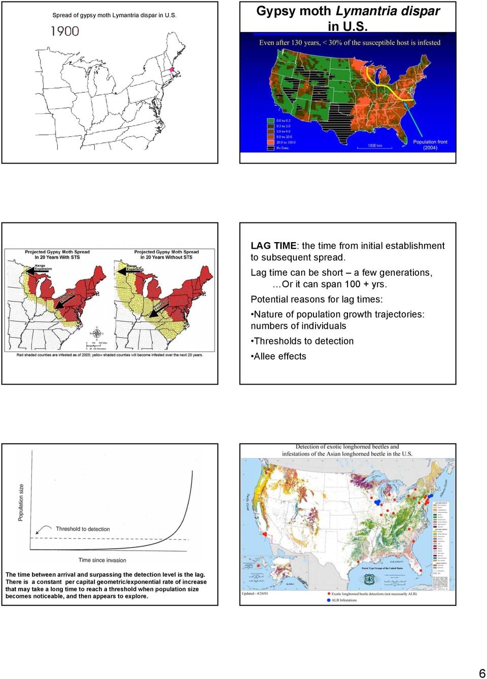 Potential reasons for lag times: Nature of population growth trajectories: numbers of individuals Thresholds to detection Allee effects The time between